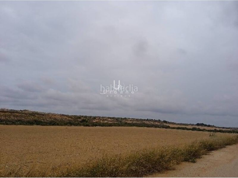 Foto 93b9facc-b9e6-4b17-a473-a166ac04e7b6. Finca rústica a Jerónimo y Avileses Murcia