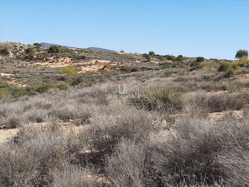 Foto 9c0b64fc-8824-4818-8d79-07693a127c89. Finca rústica a Jerónimo y Avileses Murcia