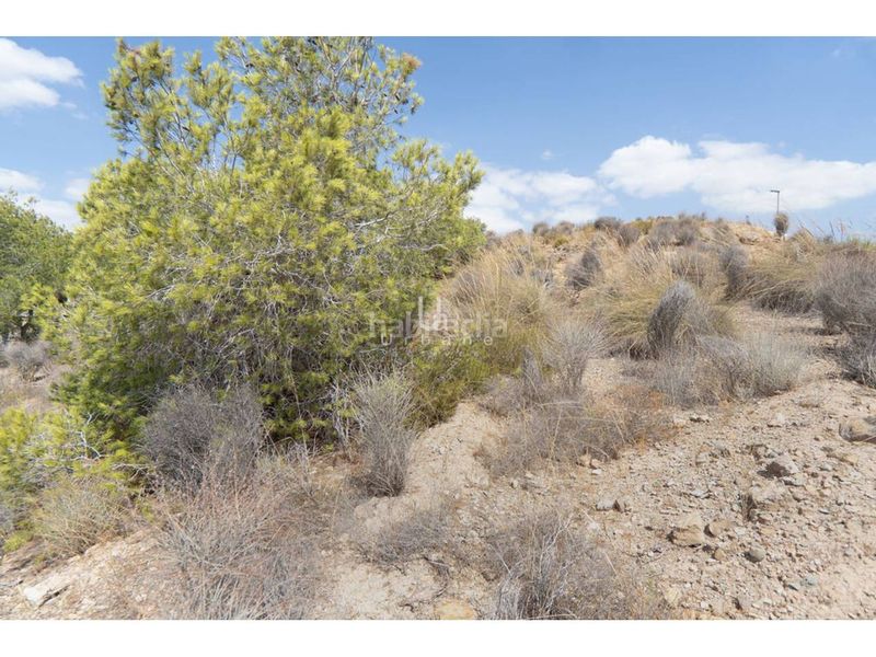 Foto 4d17dec1-5fee-4e40-83a6-ac9e7116c4c7. Finca rústica a El Esparragal Murcia