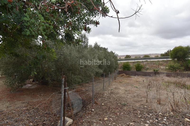 Foto 54cd3006-6853-4a12-9c94-699472fea2ef. Xalet a carretera galapacho polígono 36 parcela 96 96 a Medina Sidonia