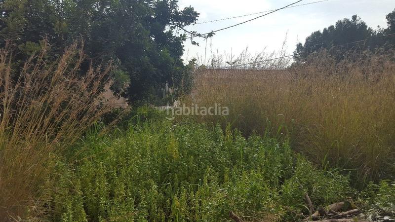 Foto 9c211081-a324-42b6-81ad-5c04e034f325. Terreny residencial a carrer de la troana 48 a Torrent Ballester Viladecans