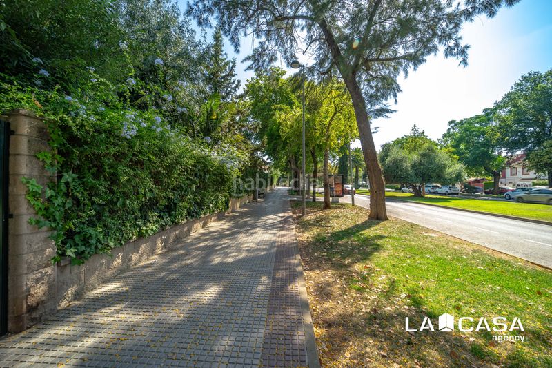 Foto e1eb18be-d0fd-4d22-976a-06a128bc24bb. Dúplex a La Motilla - Fuente del Rey Dos Hermanas