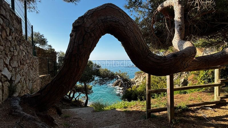 Foto dea6aa63-39e3-4ab9-aa75-0da7cddebdc9. Location appartement avec parking dans Torre Valentina-Mas Vilar de La Mutxada-Treumal Sant Antoni de Calonge