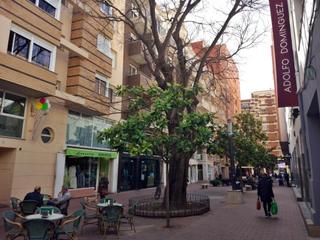 Office space in Casco Urbano