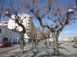 Local Comercial a Casco Urbano