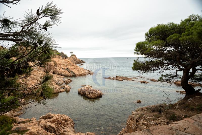 Foto 4ae7a99d-83a3-4514-8d89-692918bf52be. Pis amb calefacció aparcament piscina a Tamariu