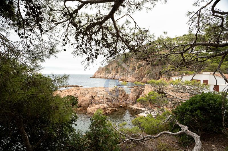 Foto edc3011a-953a-4151-9937-269eb5db931e. Pis amb calefacció aparcament piscina a Tamariu