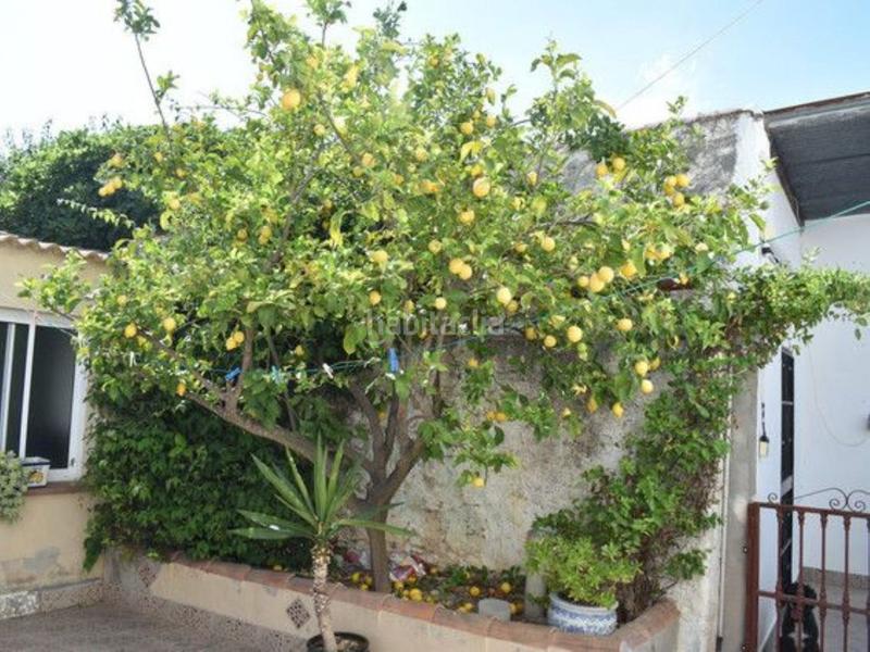 Foto c79ffe10-651b-4295-bf9e-590222266d52. Masia amb aparcament a Burgo (El)