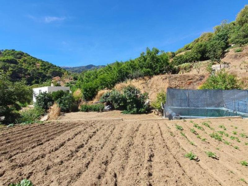 Foto 02579374-e64c-498c-8d2f-db356432b25b. Bauernhof mit parking pool in Yunquera