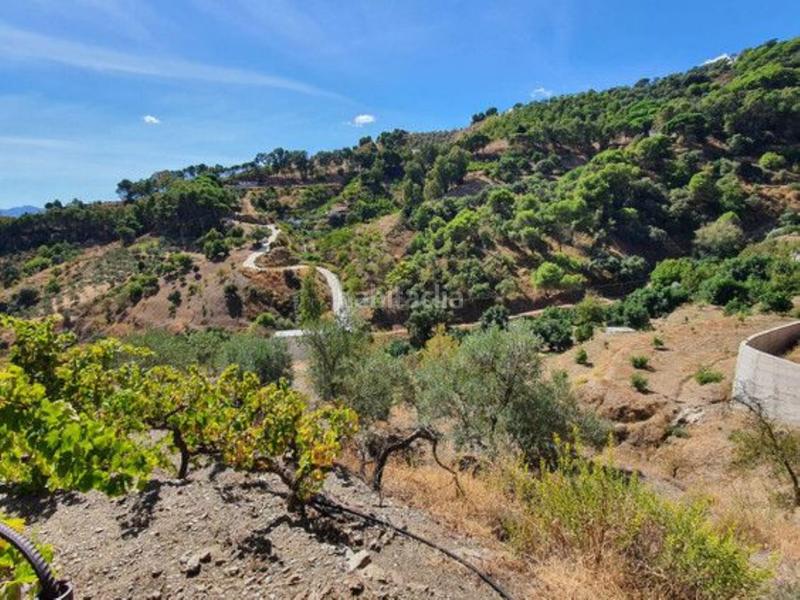Foto 47286851-049c-4ea4-8325-a6bc1ddc7112. Bauernhof mit parking pool in Yunquera
