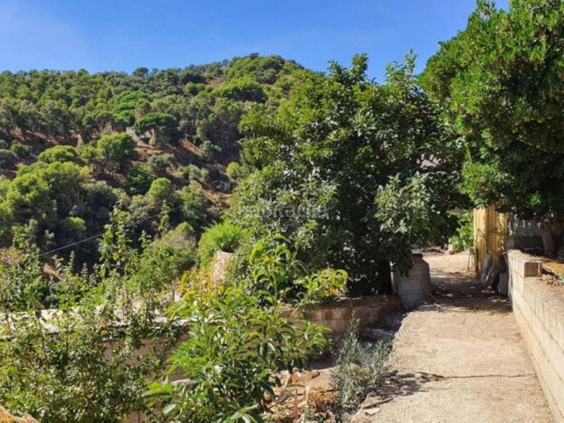 Foto 512d2627-ffc9-4e30-b653-97d92a13f6b9. Bauernhof mit parking pool in Yunquera