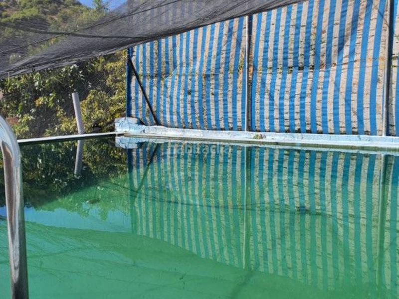 Foto 8a6f8297-e82a-432d-a41c-1dfea454c240. Bauernhof mit parking pool in Yunquera