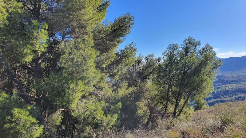 Foto 040485e0-a743-4f32-ad54-f097528958e9. Terreny residencial a Alozaina