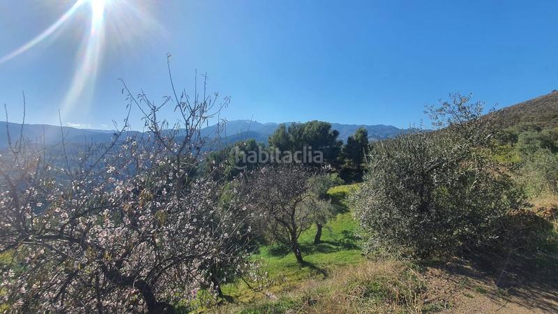 Foto 109c075b-69c3-41a3-9867-702e4a60bac8. Terreny residencial a Alozaina