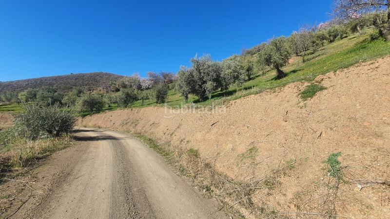 Foto 5c737fa9-4ca2-4372-856c-eab02055088a. Terreny residencial a Alozaina