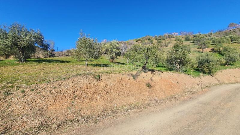 Foto 814de977-edb9-4dbf-80a2-4f67fc1f0078. Terreny residencial a Alozaina