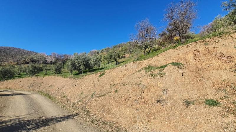 Foto 8e59b65a-3e6f-4d62-969b-d6821f00ff8e. Terreny residencial a Alozaina