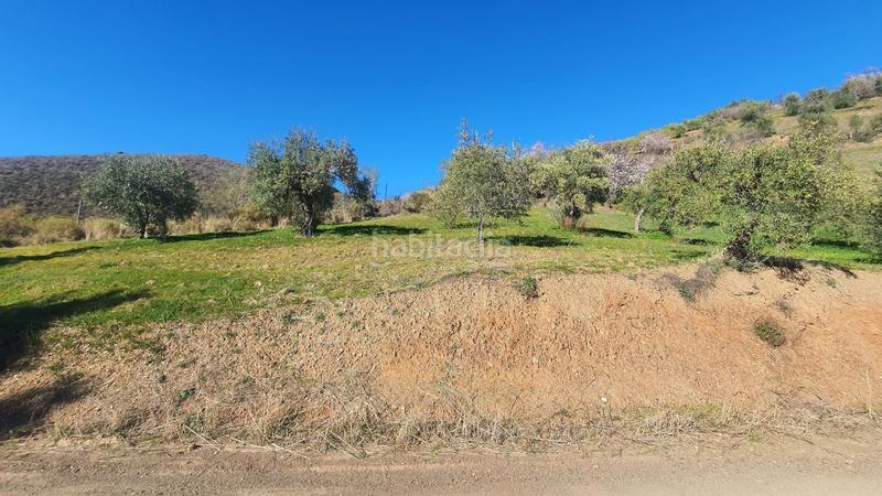 Foto a075ff92-505d-4025-9396-8a8675823cec. Terreny residencial a Alozaina