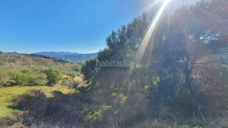 Foto a7a36109-7431-40f7-8c19-8102777e4242. Terreny residencial a Alozaina