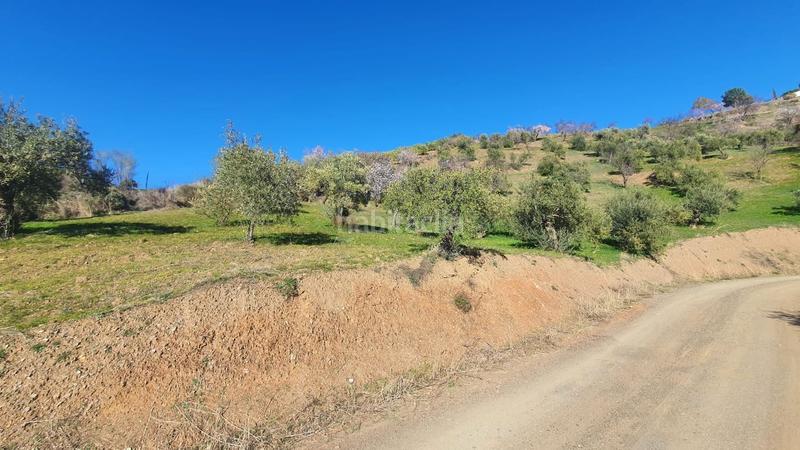 Foto b93f55ce-a55f-41b8-a901-cdddbc50e084. Terreny residencial a Alozaina