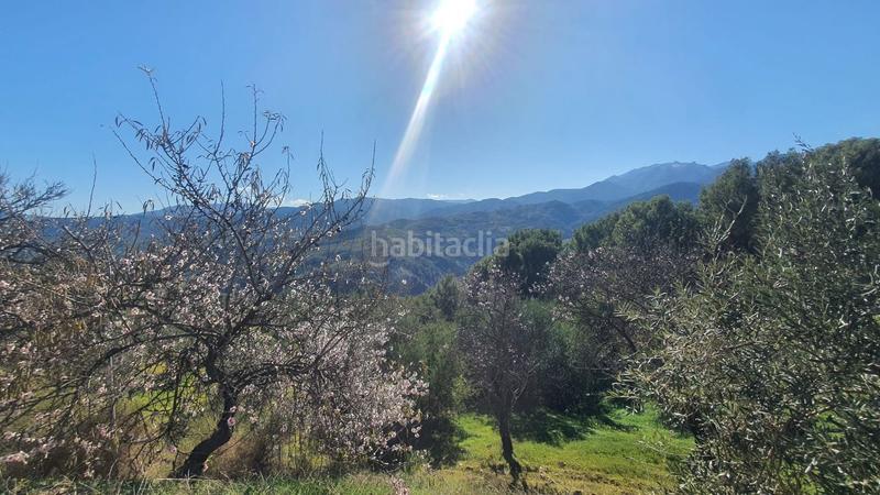 Foto bcca21ec-ebdd-433d-8fd1-32f1093d2287. Terreny residencial a Alozaina