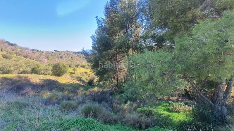 Foto e5cf63dd-fd24-430f-be1f-fc26341d42cb. Terreny residencial a Alozaina