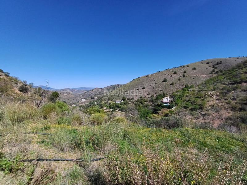 Foto 11f20f02-0d4e-41c8-9103-a0b15760a96d. Terreno residenziale in Monda