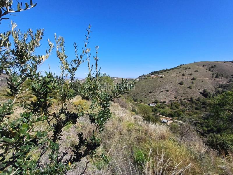 Foto 9318f500-6346-4eca-beb8-601238b8c418. Terreno residenziale in Monda