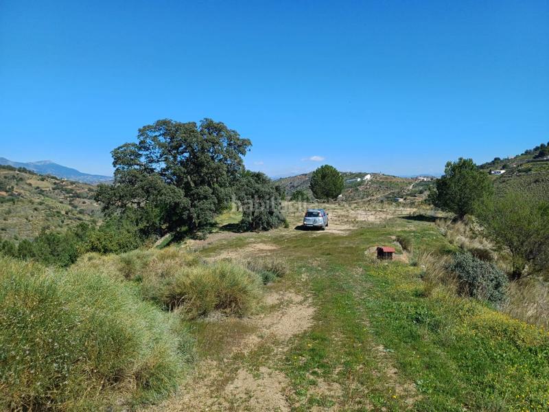 Foto ac4bc986-f851-4c58-b7c4-623f8d6b7178. Terreno residenziale in Monda