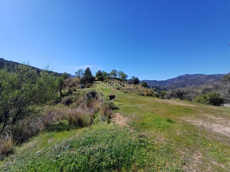 Foto aef3dee2-c8c0-43b9-8097-0278fb4223f1. Terreno residenziale in Monda