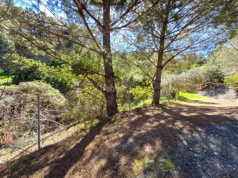 Foto ee33d890-5223-4b2b-8e4e-d7e9522504d3. Terreno residenziale in Monda