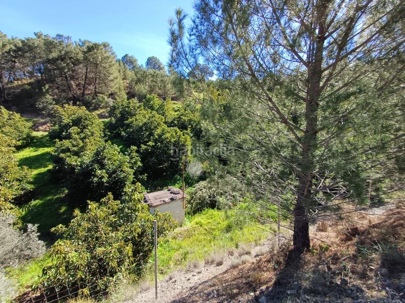 Foto f10760dc-1e42-4b47-b584-1be7396737ed. Terreno residenziale in Monda