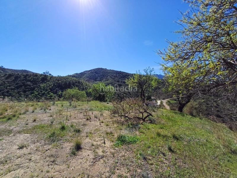 Foto fde2faf7-1b7d-463b-981d-8007460748a4. Terreno residenziale in Monda