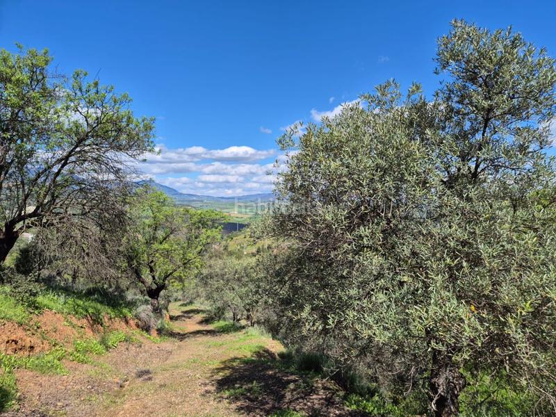 Foto 6ab5caed-b288-4a63-83ed-7c45345b2747. Mas avec chauffage parking dans Guaro