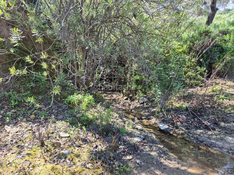 Foto e6686c2b-b375-41bf-804e-e45daf316eb1. Mas avec chauffage parking dans Guaro