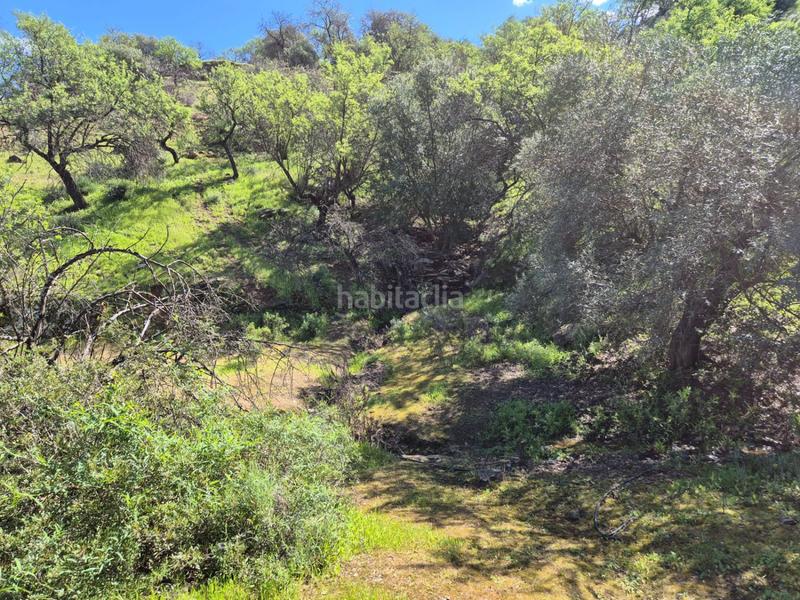 Foto e8cda8cf-48fe-4339-9653-4be4f9e15d22. Mas avec chauffage parking dans Guaro