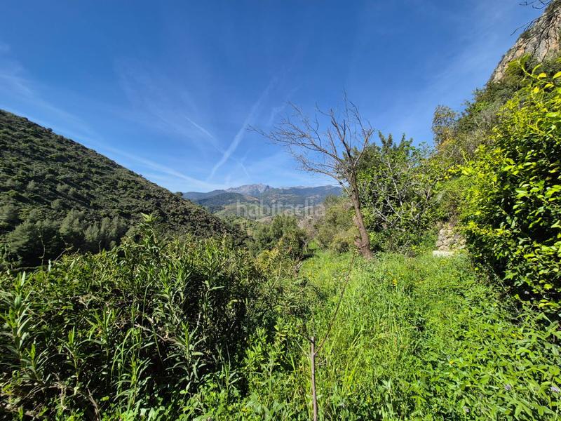 Foto b075f188-65f5-451c-aa2f-eb62f0c8a1fb. Mas avec chauffage parking dans Alozaina