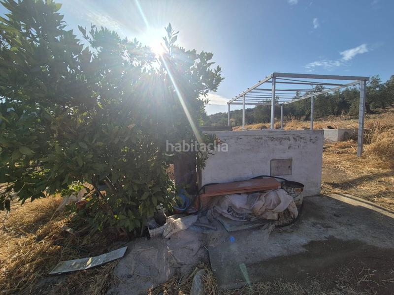 Foto 40ba9525-0261-4cdd-8d6d-e93a84ca7998. Terreno residenziale in Casarabonela