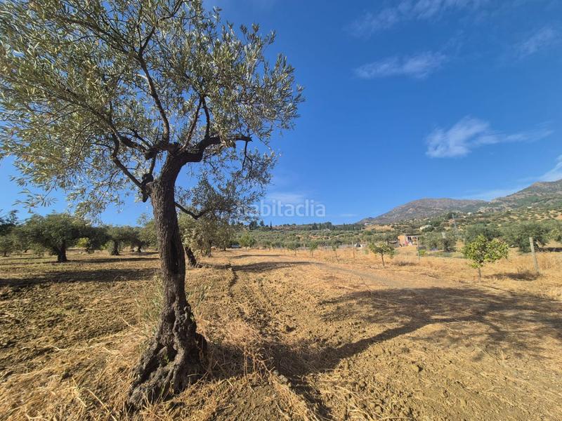 Foto 5fee5da9-95e3-4a3e-9b0b-773098d61f48. Terreno residenziale in Casarabonela