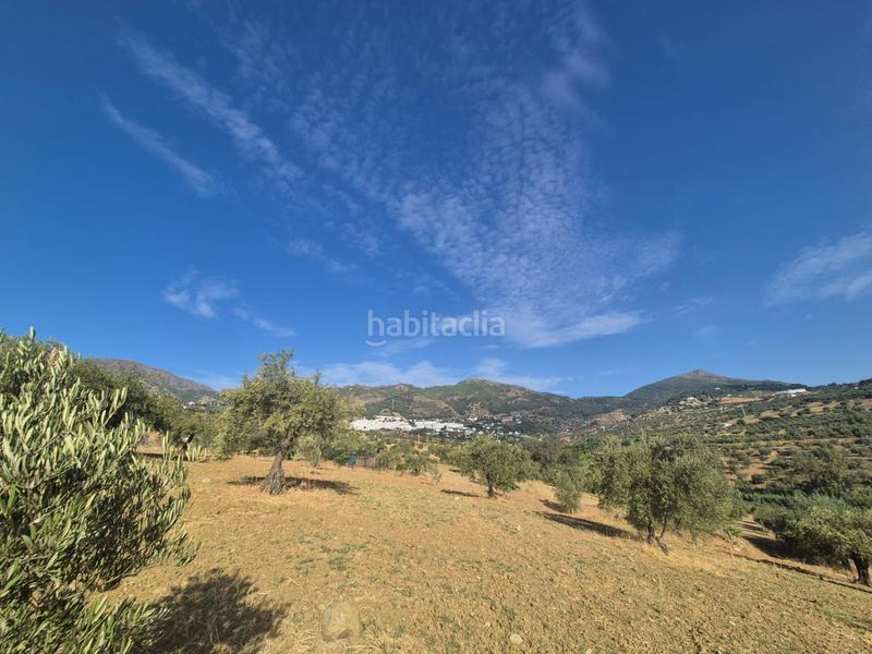 Foto b7331680-b41c-4c17-9d8d-7bb53127d50c. Terreno residenziale in Casarabonela