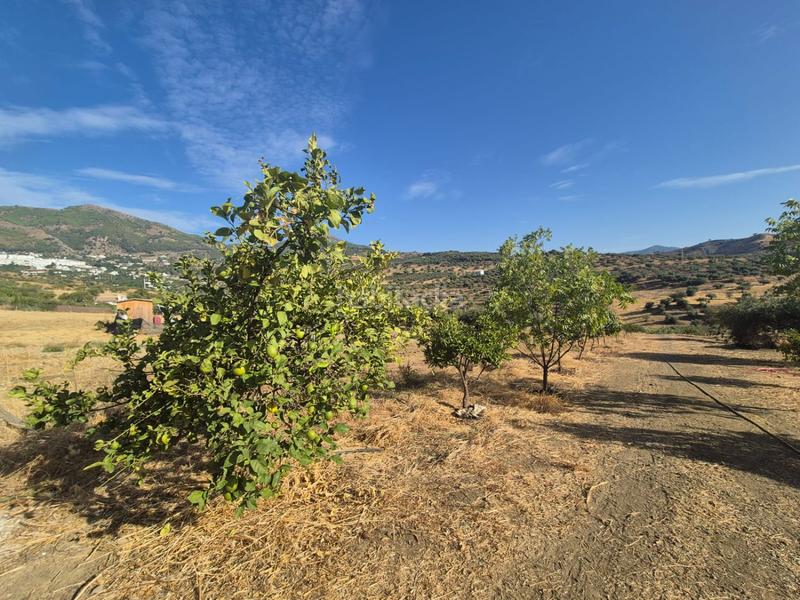 Foto d1ccae23-b758-41a9-b447-931189c13c45. Terreno residenziale in Casarabonela