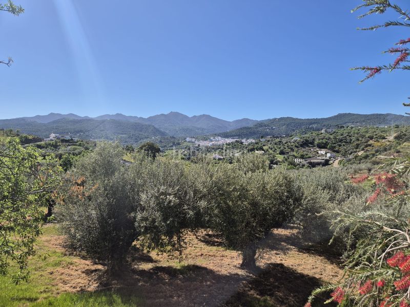 Foto a17a3b9f-2e65-4cba-b8d1-f0775764fb43. Masia amb xemeneia calefacció aparcament a Monda