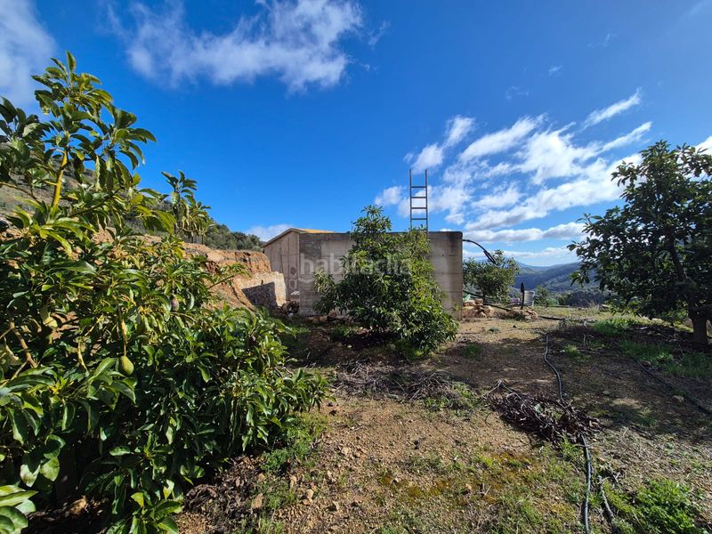 Foto eff7401d-c85a-4dab-b4b1-f9844d91a06a. Masia a Yunquera