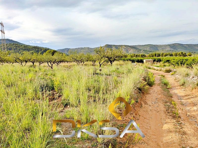Foto 02f445fc-15e0-4608-a994-c4e97934275e. Finca rústica a Cabanes