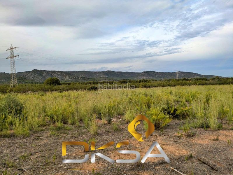 Foto 0e0a38df-1489-404a-9a8f-4129fc534b43. Finca rústica a Cabanes