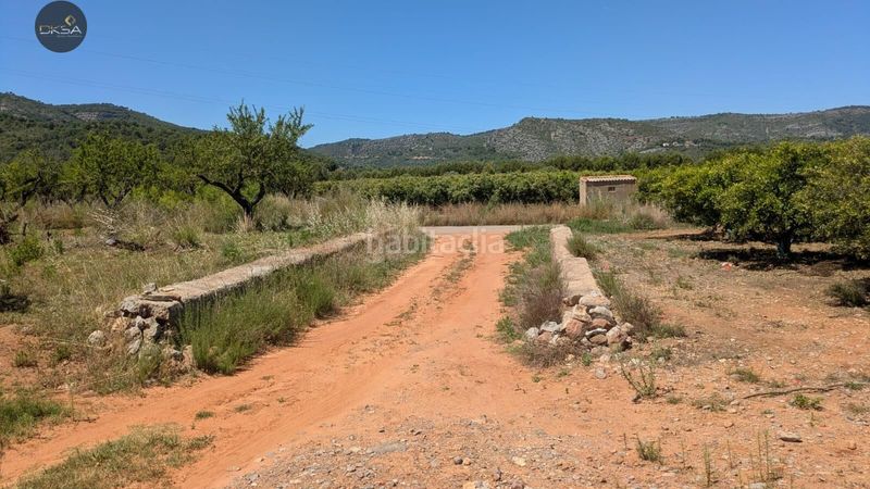 Foto 9943fe6c-e72a-44b8-ba0c-03ec8b67e450. Finca rústica a Cabanes
