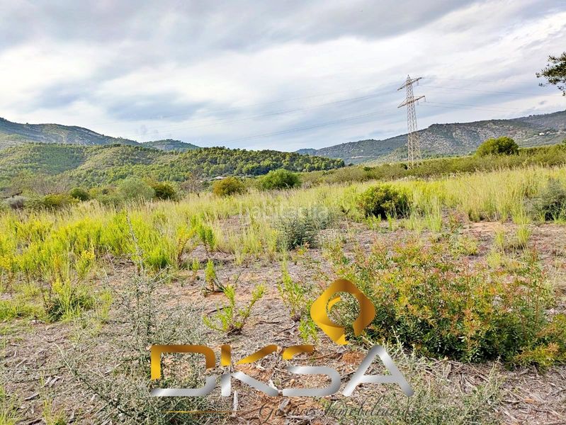 Foto b97506df-e6c0-455a-a9ff-c1b0c2f16da8. Finca rústica a Cabanes