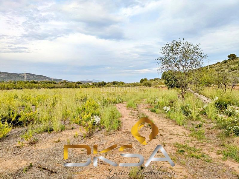 Foto c00e27ef-fbf5-4a86-af99-2e268168c7a5. Finca rústica a Cabanes