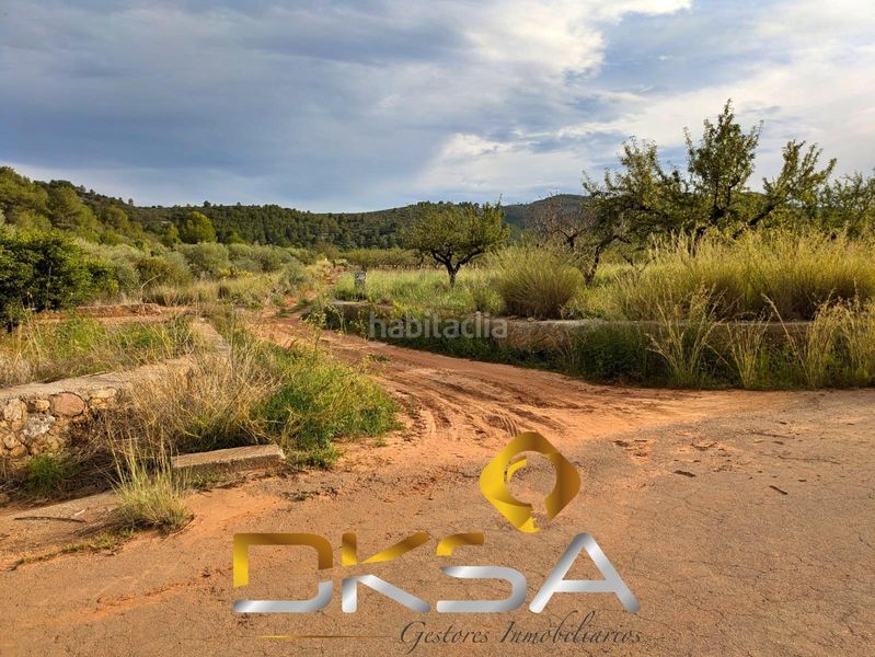 Foto caeae34e-436b-4d0f-9656-2804dd033d60. Finca rústica a Cabanes