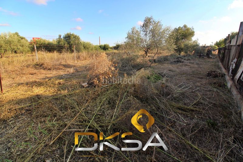 Foto 5a0f941c-bc07-42e4-99c3-2628afdfaa51. Finca rústica a El Pilar Villarreal / Vila - real
